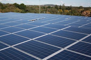 Solar energy farms halted amid flying glass concerns